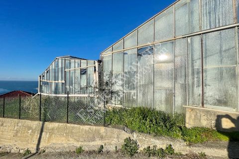Helårsgrund i Ospedaletti, Imperia, Ospedaletti - € 200.000 | Ref: EM1275 - foto 10